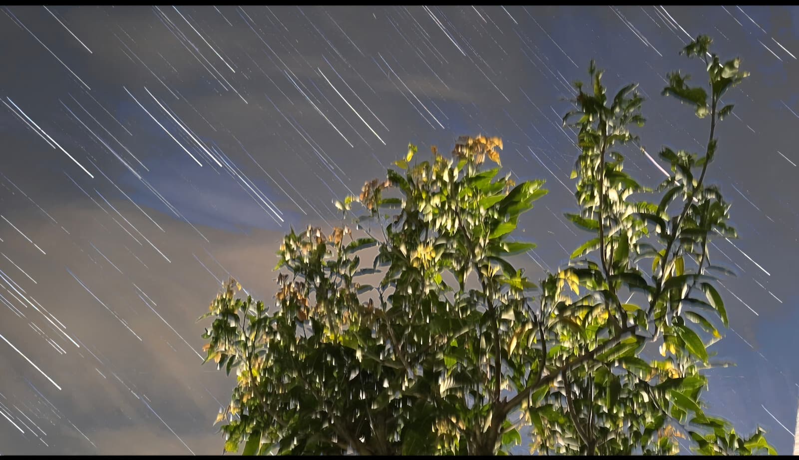 Night sky long exposure showing sweeping concentric star trails over the silhouette of trees and hills